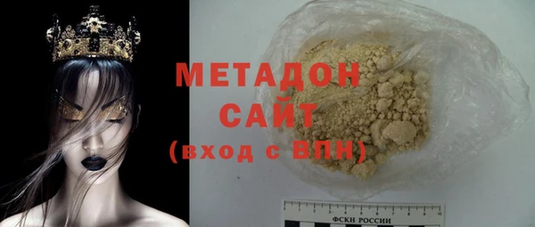 хмурый Аркадак